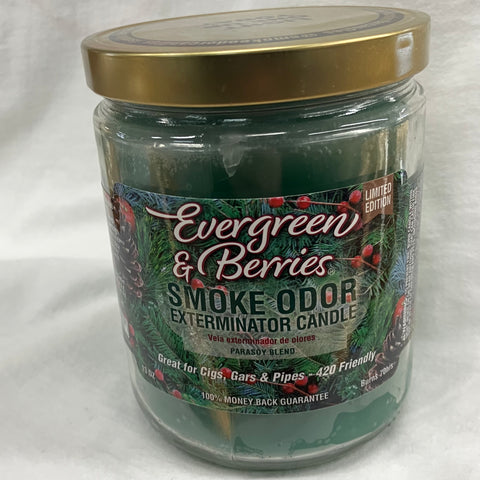Evergreen & Berries Odor Exterminator Candle