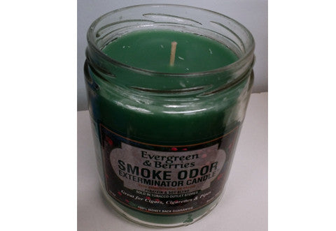 Evergreen Berries Odor Exterminator Candle