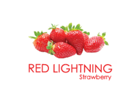 Hydro Herbal Red Lightning Shisha