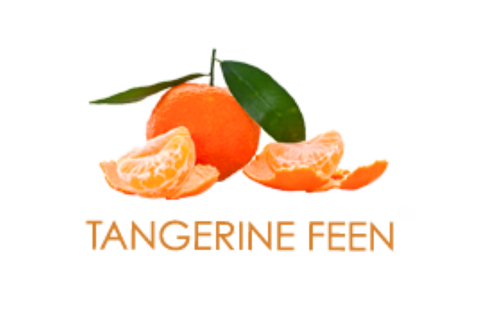 Hydro Herbal Tangerine Feen Shisha